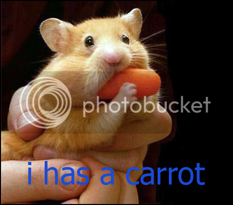 hamstercopy.png