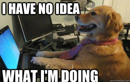 dog-computer-meme.jpg