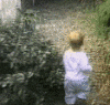 465756a2.gif