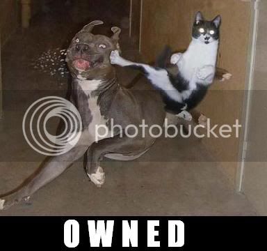 Owned3.jpg