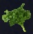 Lustrous-Seaweed.jpg
