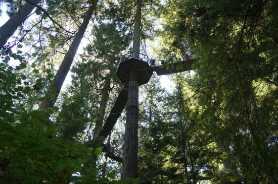 capilano-suspension-bridge.jpg