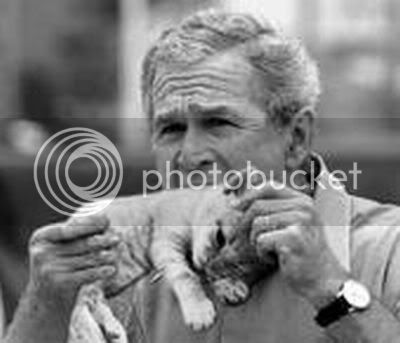 GeorgeBushEatingA_kitten.jpg