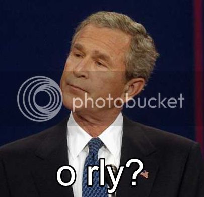 orlyBush.jpg