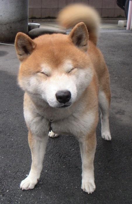 tumblr_metv8wH87w1rkiw3to1_500.jpg