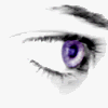 Eye_animation.gif