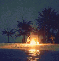 island bonfire GIF