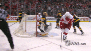 detroit red wings hockey GIF by NHL