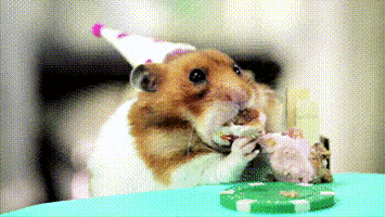 Happy Birthday Eating GIF by Birthday Bot