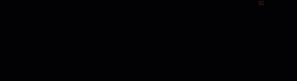 dannet_group.gif